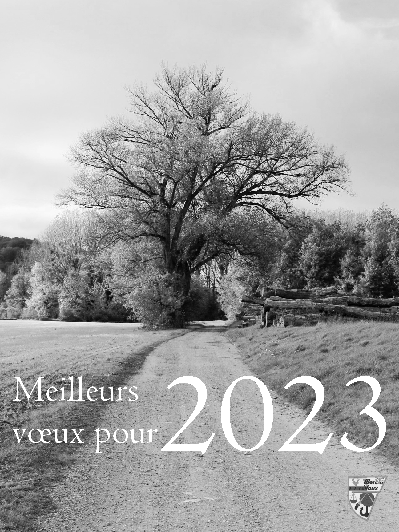 voeux 2023 w logo final