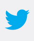 logo twitter fond bleu